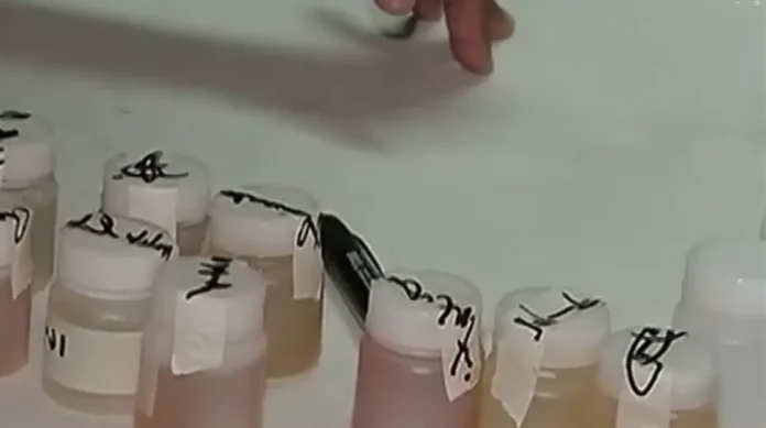 Screenshot 2025-10-29 021307